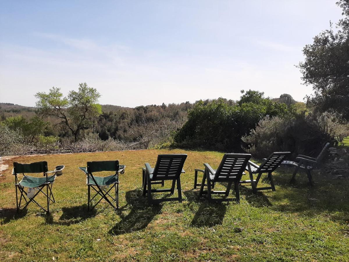 הוילה קסטלינה אין קיאנטי Casa Il Mandorlo Nel Chianti מראה חיצוני תמונה