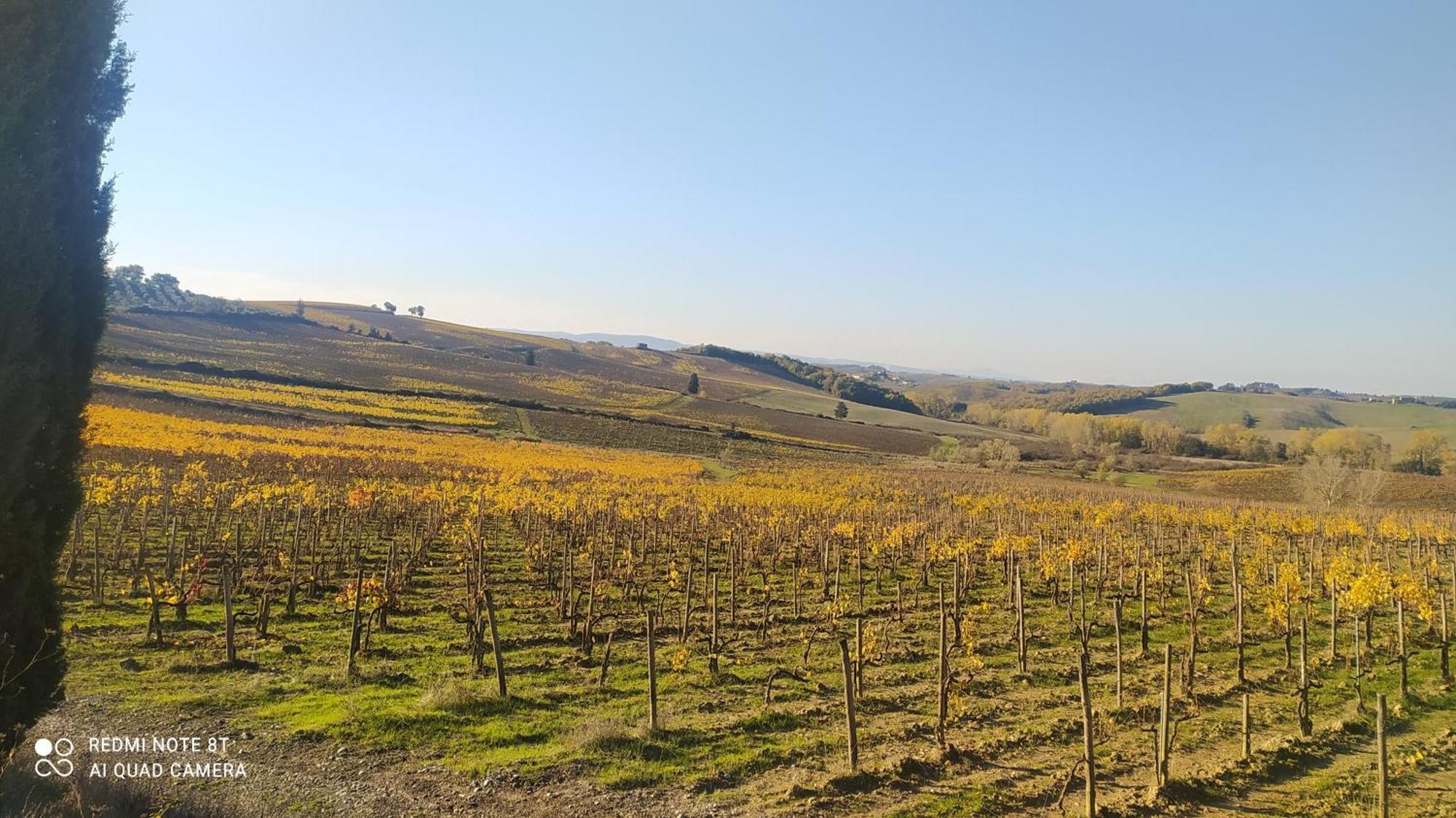 הוילה קסטלינה אין קיאנטי Casa Il Mandorlo Nel Chianti מראה חיצוני תמונה