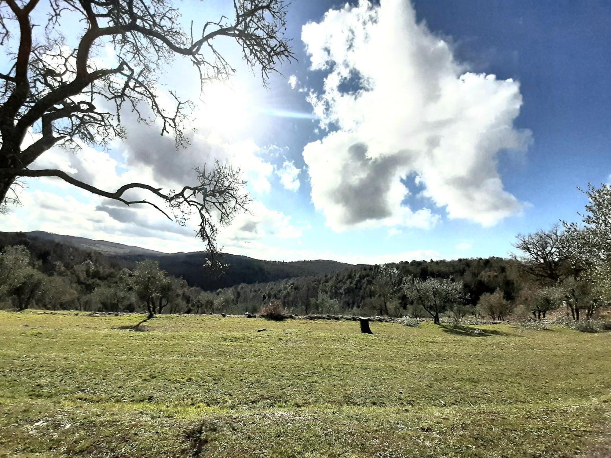 הוילה קסטלינה אין קיאנטי Casa Il Mandorlo Nel Chianti מראה חיצוני תמונה