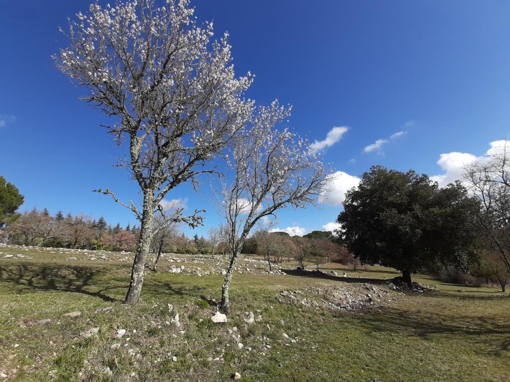 הוילה קסטלינה אין קיאנטי Casa Il Mandorlo Nel Chianti מראה חיצוני תמונה
